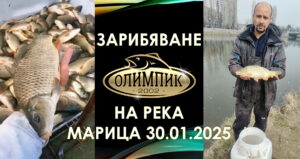 Зарибяване на река Марица (Пловдив) с шаран 30.01.2025