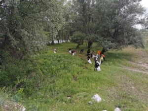 IMG_20250517_103541