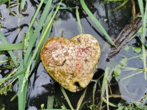 IMG_20250517_105121
