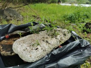 IMG_20250517_105759