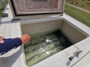 IMG_20250517_114709