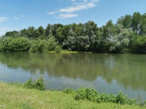 IMG_20250517_130515
