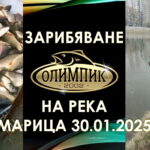 Зарибяване на река Марица (Пловдив) с шаран 30.01.2025